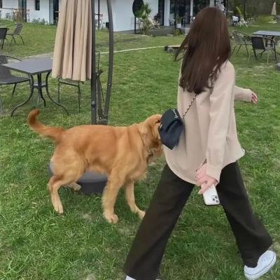 龙衔璎珞几时归